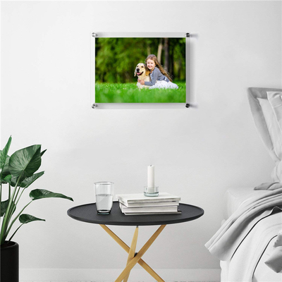 De bulk Moderne Hoge Hardheid van Decoratie Acrylmuur Opgezette Omlijstingen