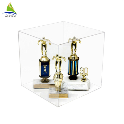 Professionele Model Acryl de Houders Acryl ModelVitrine van de Vertoningsdoos